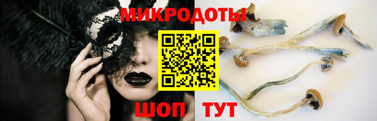 Галлюциногенные грибы Psilocybe  Вход с VPN  Ижевск 